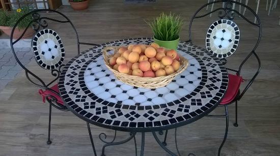 Il Casale Di Rodolfo Bed & Breakfast Termoli Exterior photo